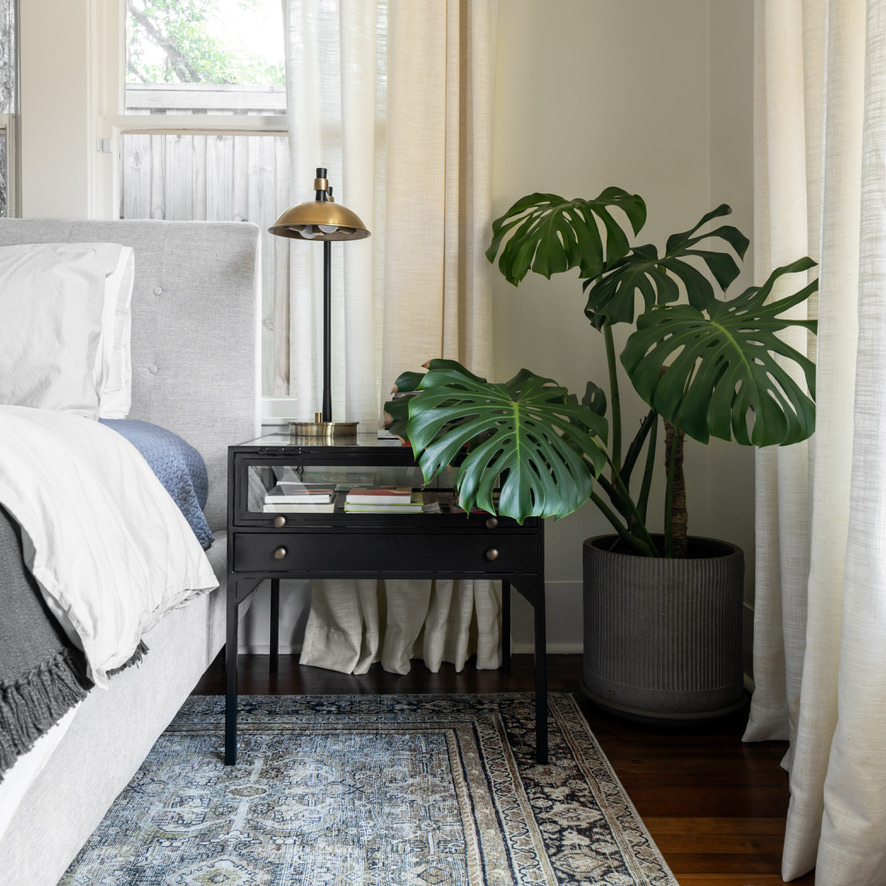 white and blue guest room with plant interior design